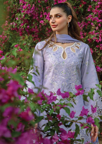 Rang Rasia CARNATION festive edit 2024 -EVA