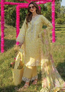 ang Rasia CARNATION festive edit 2024 -RAYA