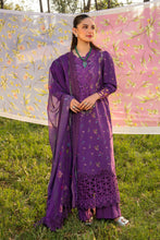 Load image into Gallery viewer, Rang Rasia CARNATION festive edit 2024 -NORA