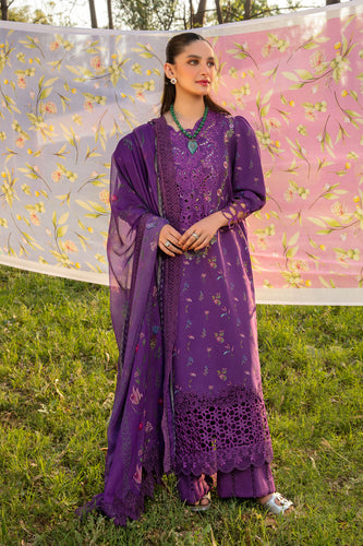 Rang Rasia CARNATION festive edit 2024 -NORA