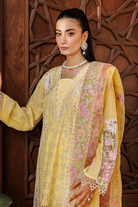 RAJBARI festive lawn’24-2A