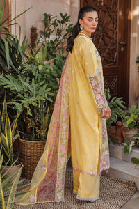 RAJBARI festive lawn’24-2A