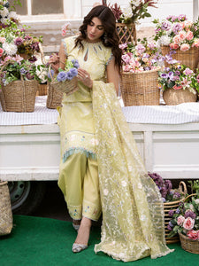 BIN İLYAS CLARA lawn’24-214B
