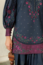 Load image into Gallery viewer, IZNIK PRE-FALL Embroidered Winter collection IPF-26 Unstitched '26