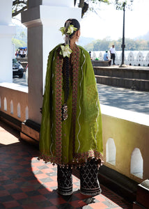 Hussain Rehar LUXURY lawn 2025 D#661(ABASS) Unstitched