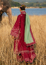 Load image into Gallery viewer, Hussain Rehar LUXURY lawn 2025 D#669(MAHOGANY) Unstitched