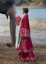 Load image into Gallery viewer, Hussain Rehar LUXURY lawn 2025 D#669(MAHOGANY) Unstitched