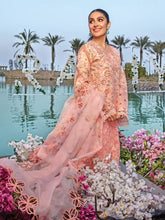 Load image into Gallery viewer, Rang Rasiya (Premium) Luxury  Eid collection (MAHI) D13 Unstitched&#39;25