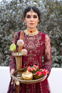 IZNIK Chinon chiffon EMBROIDERED collection (Cara) CC:17