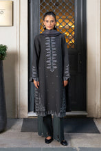 Load image into Gallery viewer, Rang Rasiya Winter collection (SLATE) D09 Unstitched'26