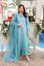 Load image into Gallery viewer, Rang Rasiya (FLORENCE) Luxury Lawn Festive Edit collection (TARA) D-04 Unstitched