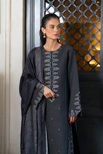 Load image into Gallery viewer, Rang Rasiya Winter collection (SLATE) D09 Unstitched'26