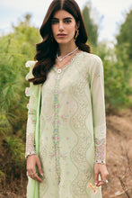 Load image into Gallery viewer, QALAMKAR Qlinekari  LAWN &#39;25 |MELINE | DC-14| Unstitched