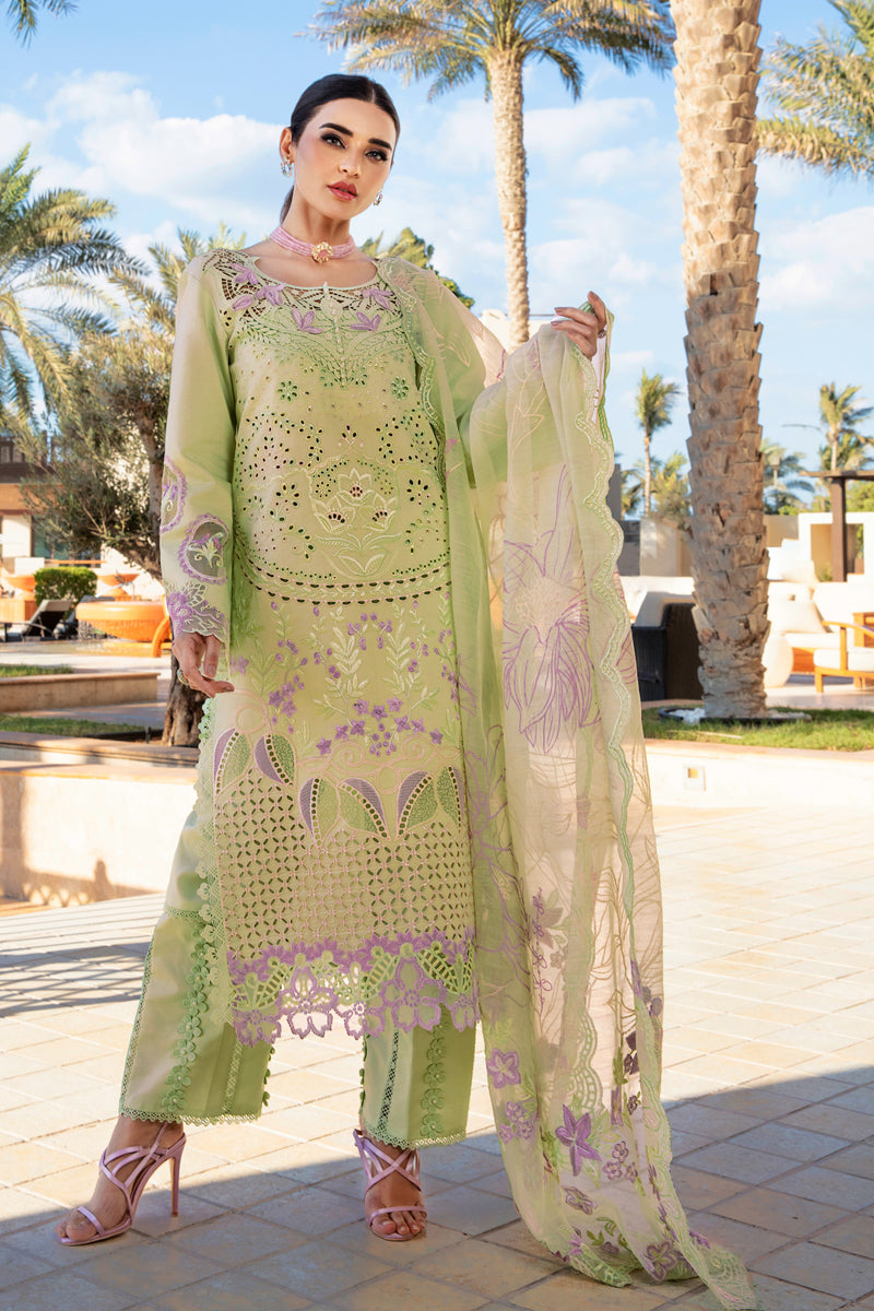 Rang Rasiya Premium Summer Collection D10 (AYLEEN) Unstitched