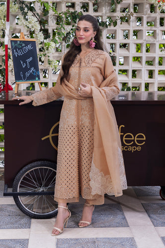 Rang Rasiya (CARNATION) Luxury Festive Edit (KAIA) D13 Unstitched'25