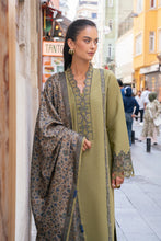 Load image into Gallery viewer, Rang Rasiya Winter collection (WILLOW) D11 Unstitched'26