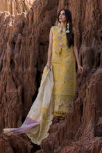 Load image into Gallery viewer, Rang Rasiya (Premium) Luxury  Eid collection (NADIA) D11 Unstitched&#39;25