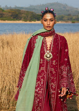 Load image into Gallery viewer, Hussain Rehar LUXURY lawn 2025 D#669(MAHOGANY) Unstitched