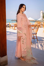 Load image into Gallery viewer, Rang Rasiya Premium Summer Collection D08 (BAREEHA) Unstitched
