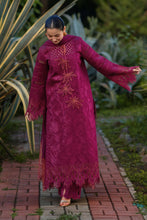 Load image into Gallery viewer, Rang Rasiya (Luxury) Lawn collection (AYRA) D05 Unstitched'26