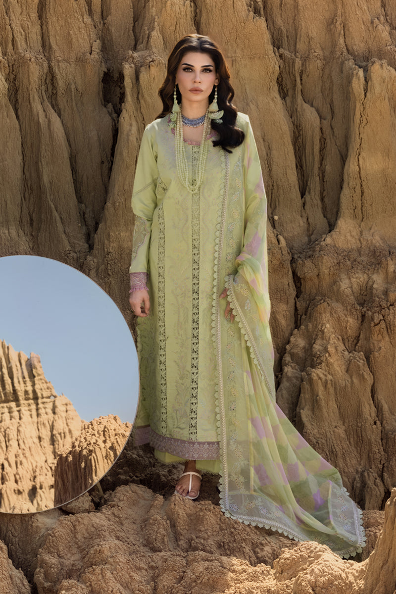 Rang Rasiya (Premium) Luxury  Eid collection (RANIA) D10 Unstitched'25
