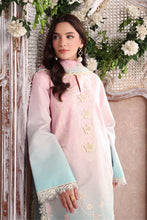 Load image into Gallery viewer, Rang Rasia NOVA Summer Embroidered Edit lawn Collection D-12 (SERENE)'26 Unstitched