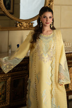 Load image into Gallery viewer, Rang Rasiya CARNATION Eid Edit Lawn collection (NADIA) D#006 Unstitched'26